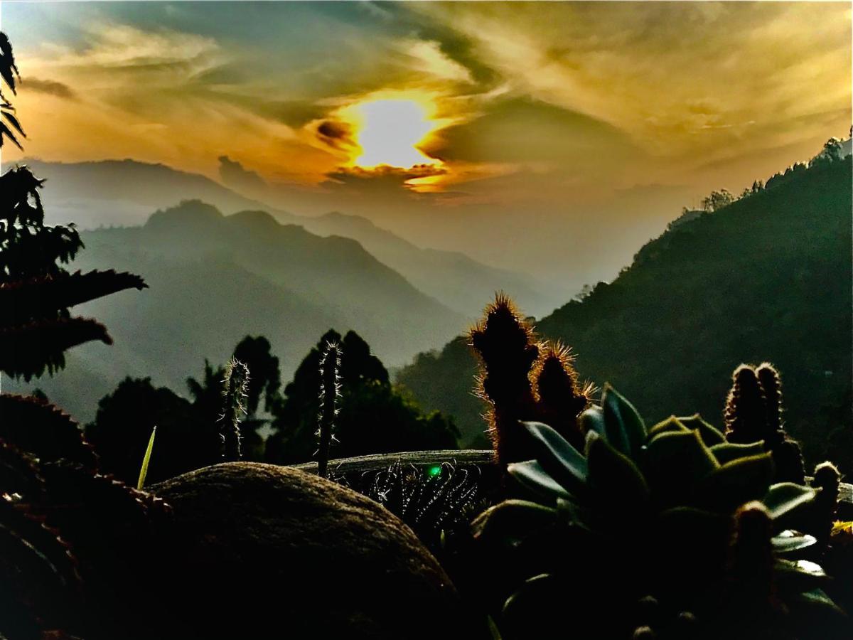Ella Hide View Hotel Bagian luar foto