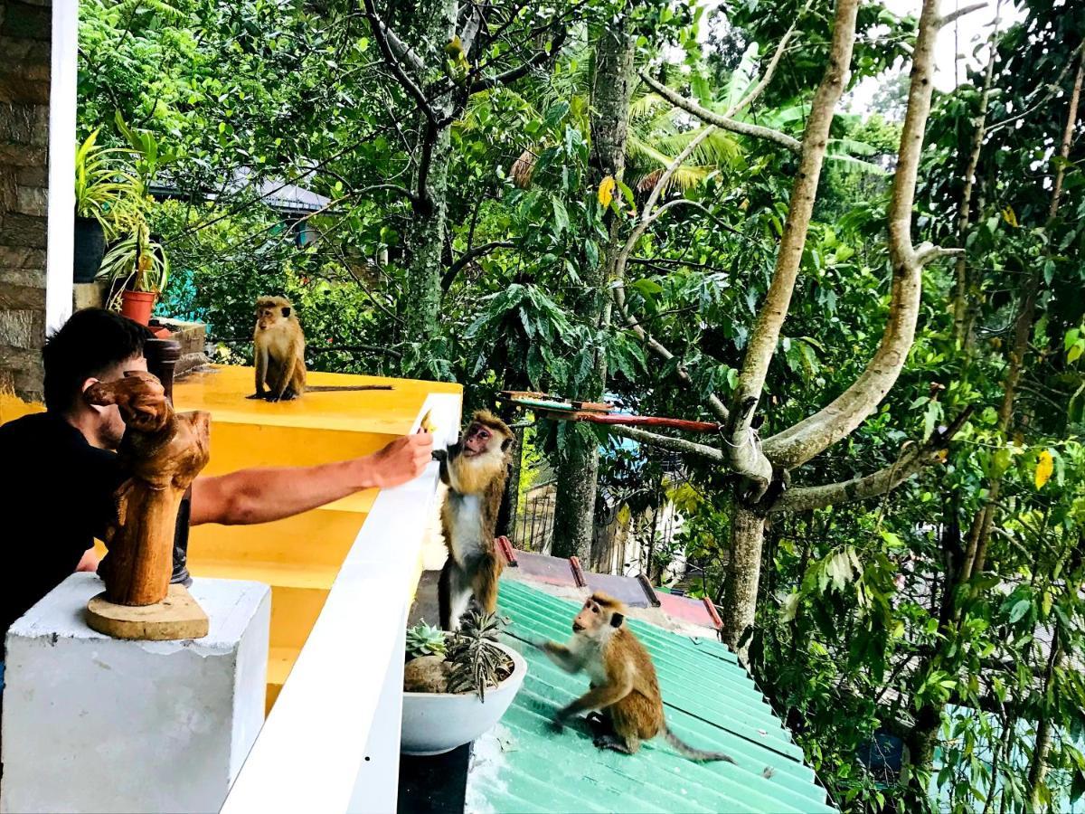 Ella Hide View Hotel Bagian luar foto
